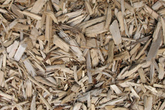 biomass boilers Dunwich